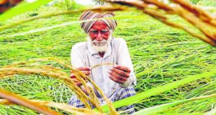 समृद्ध राज्यातले आक्रित