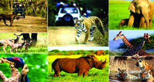 प्राण्यांचे आयुर्मान वेगळे का?