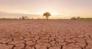 धास्ती ‌‘सुपर अल निनो‌’ ची