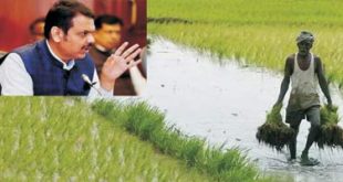 मलमपट्टीने काय साधेल?