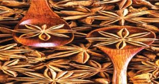 आरोग्यदायी चक्रफूल