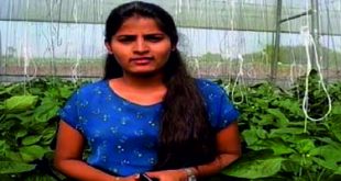 शेतीला व्यवसायाची जोड