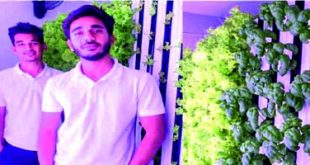मातीविना शेतीची यशोगाथा